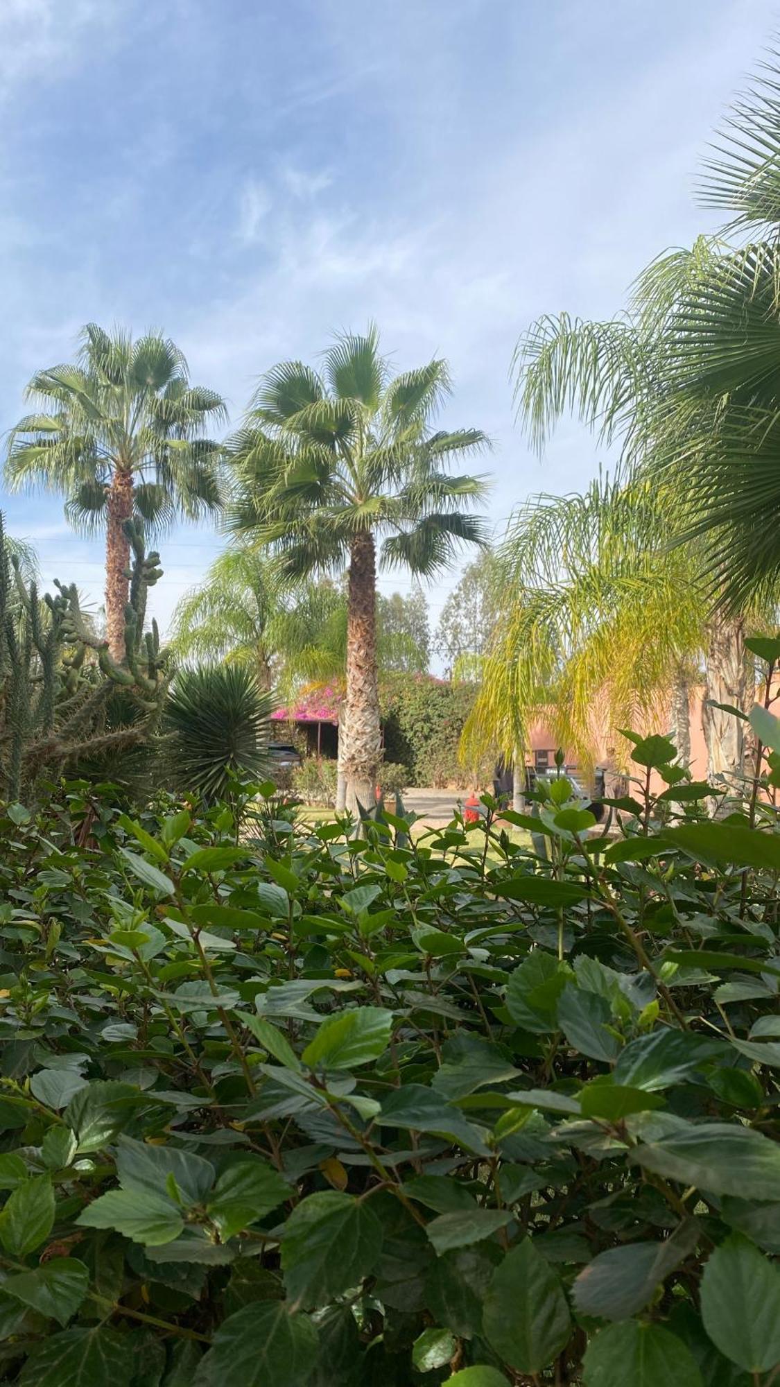Hotel Le Rubis Oriental Marrakech Azib Oulad Lâdem Zewnętrze zdjęcie